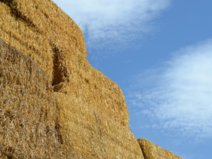 Straw bales used as sustainable building materials, showcasing their eco-friendly and renewable qualities for green construction projects.